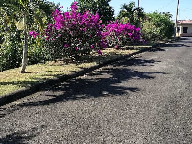 3 Bed Single Family Homes To Rent in Grecia Costa Rica